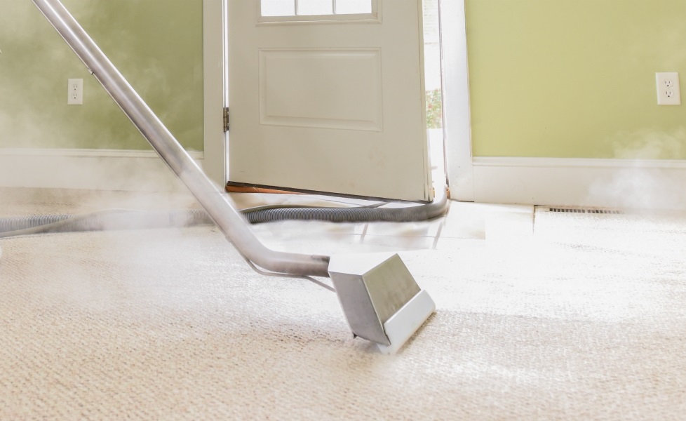 Carpet Cleaning Littleton Co Carrington Care